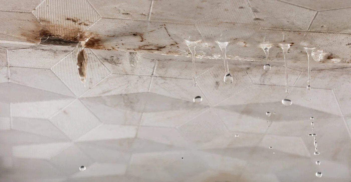 roof leak repair